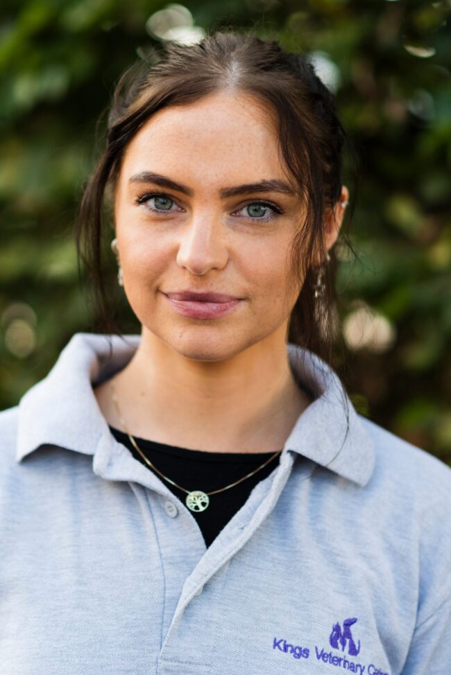 Kings veterinary Team