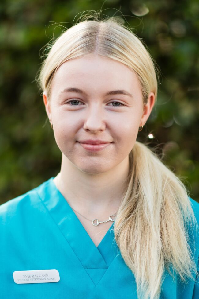 Evie Ball student veterinary nurse