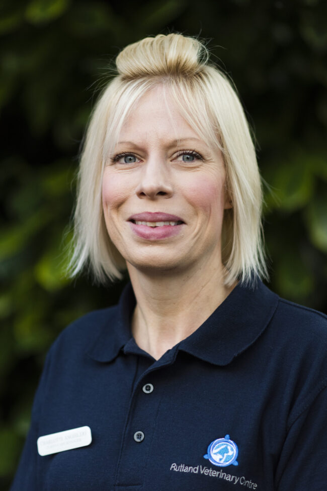 Charlotte Anghileri - kings vets