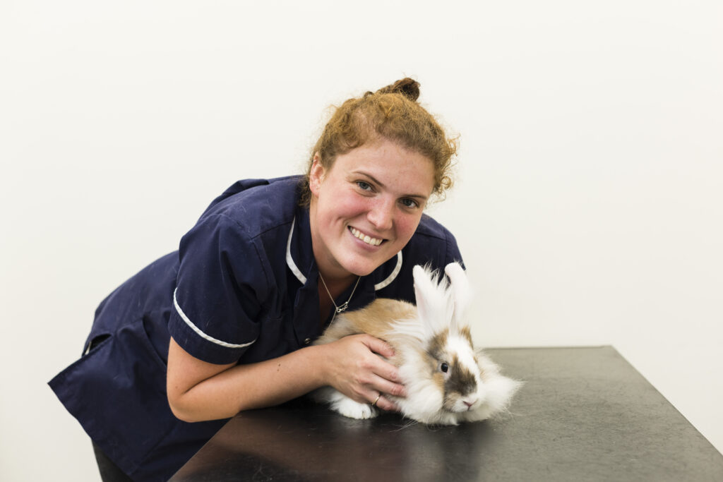 Priors Hall Corby Kings Vets