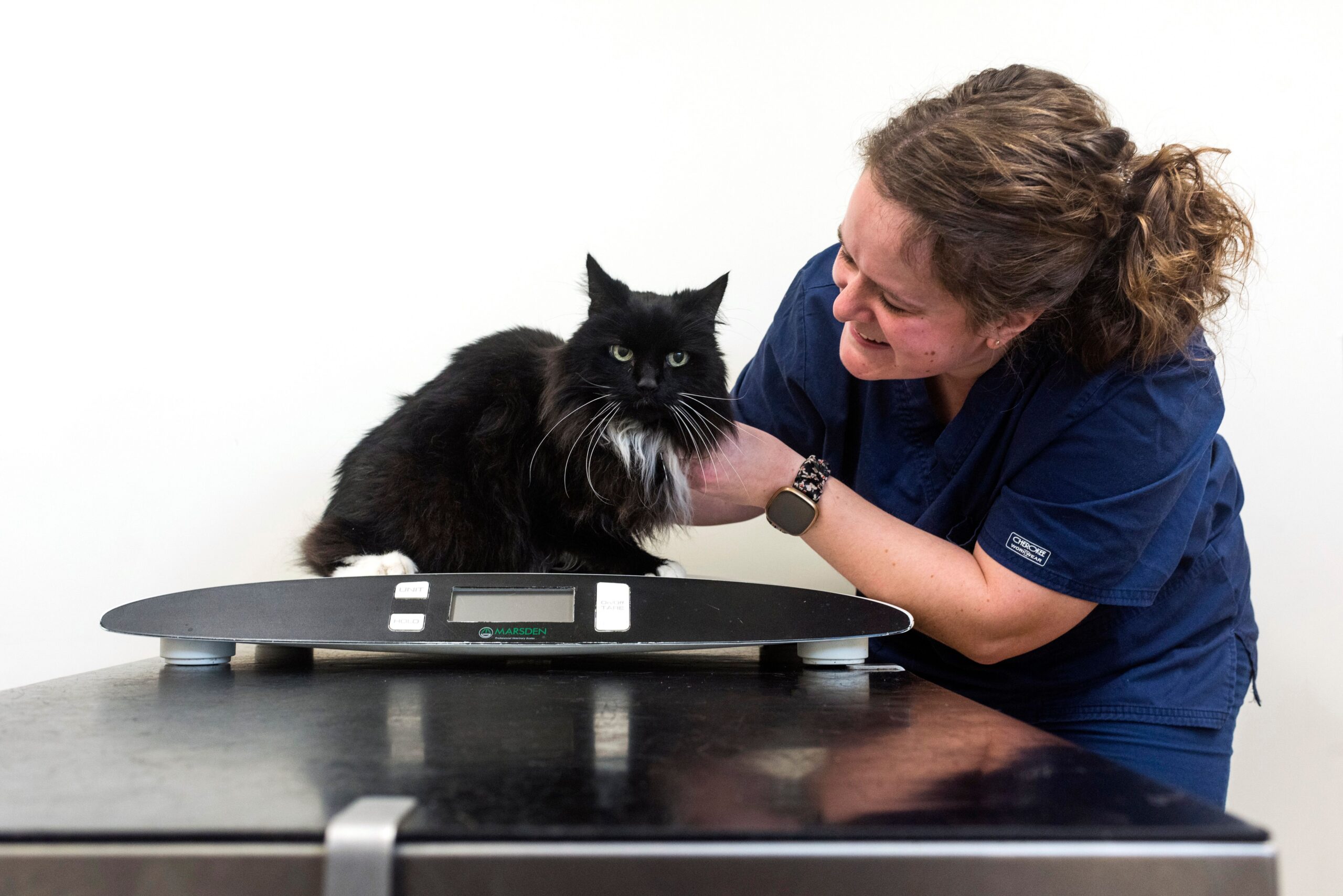 kings cat scales Nurse Clinics in Leicester