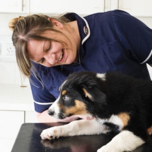 Rutland veterinary centre Kings Veterinary Centre - melton