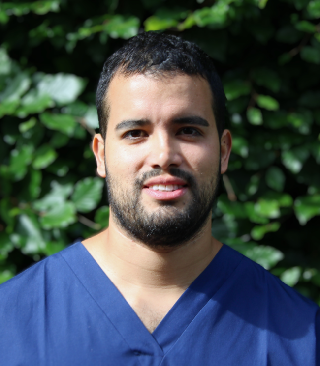 Mario Mario Garcia - kings vets