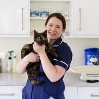 Cat Microchipping in Leicester Cat Microchipping in Leicester