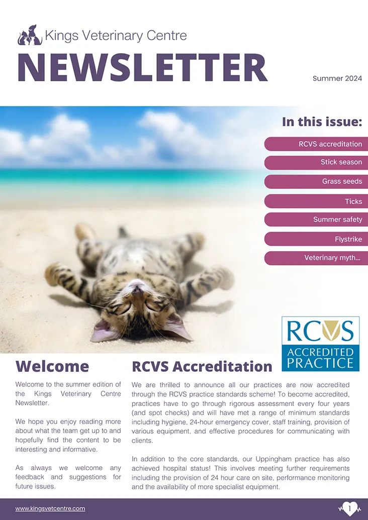 KVC Newsletter digital