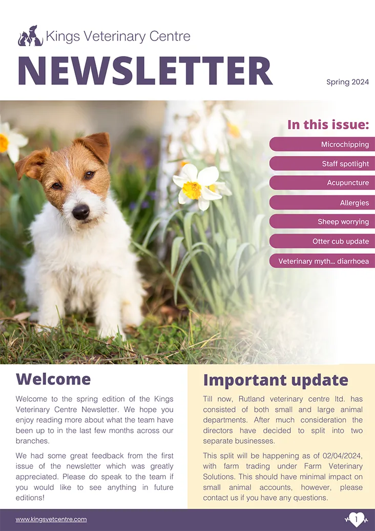 PRINT KVC Newsletter APRIL