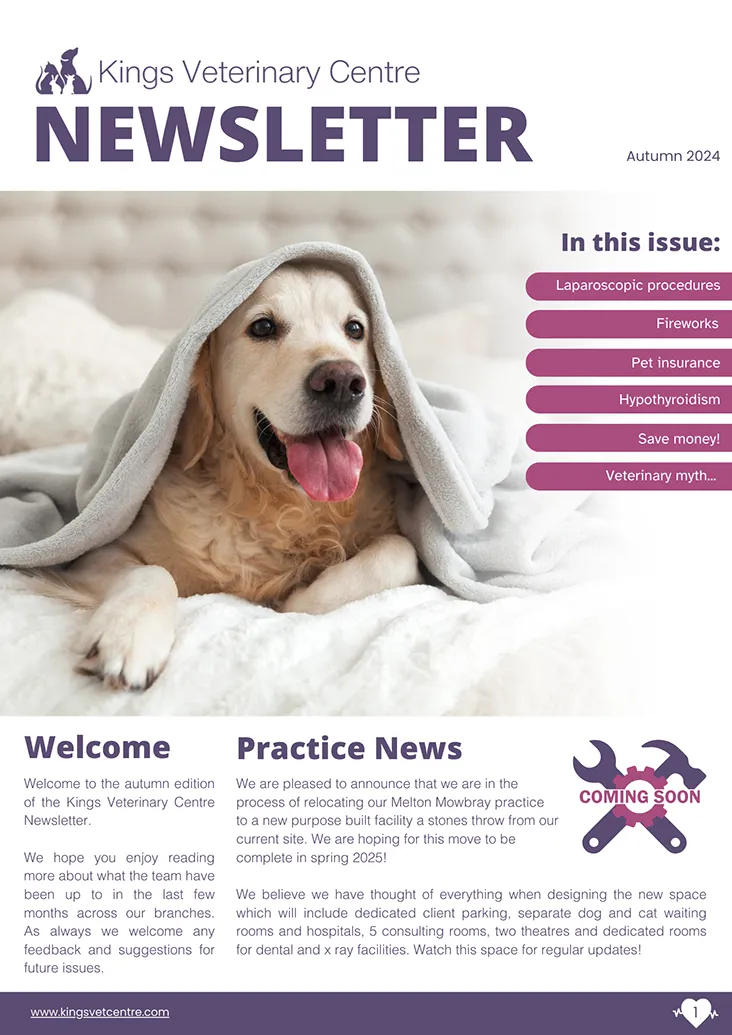 WEB KVC Newsletter Autumn 24 - Kings vets