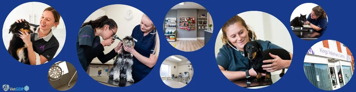 kvc Career opportunity footer banner