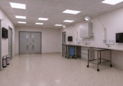 Melton prep Melton prep